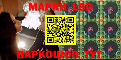 индика Обь