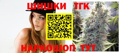стаф Можга