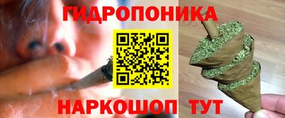 амф Новокубанск